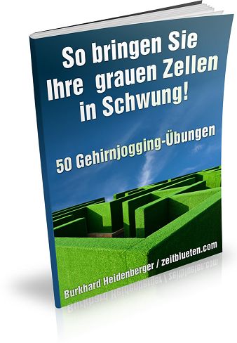 gehirnjogging