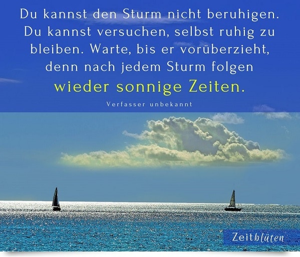 50 Zitate Spruche Die 21 Mut Machen Zeitbluten