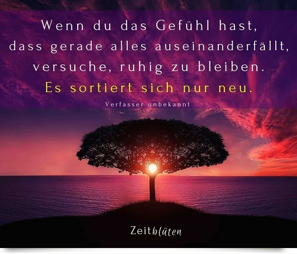 50 Zitate Spruche Die 21 Mut Machen Zeitbluten