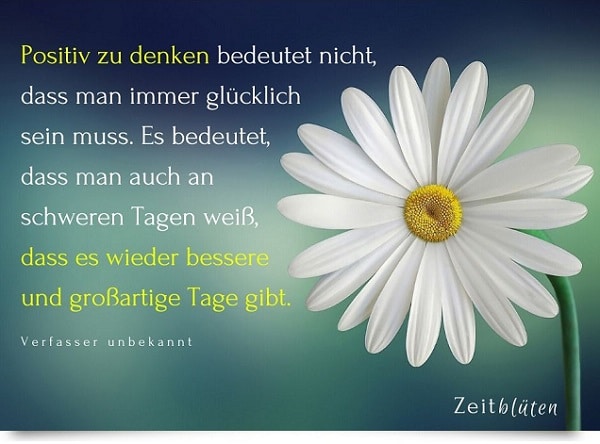 50 Zitate Spruche Die 21 Mut Machen Zeitbluten