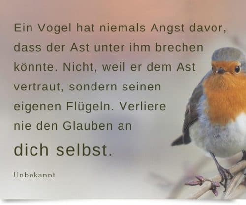 50 Zitate & Sprüche, die Mut machen und guttun ZEITBLÜTEN