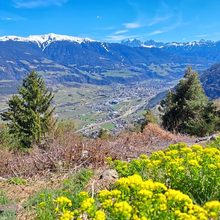 Spilucker Platte mit Blick nach Brixen