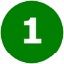 Nr-1