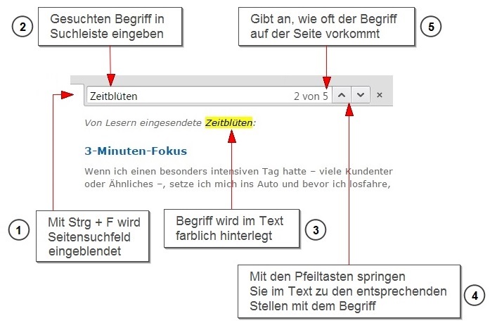 Webseiten-Suche