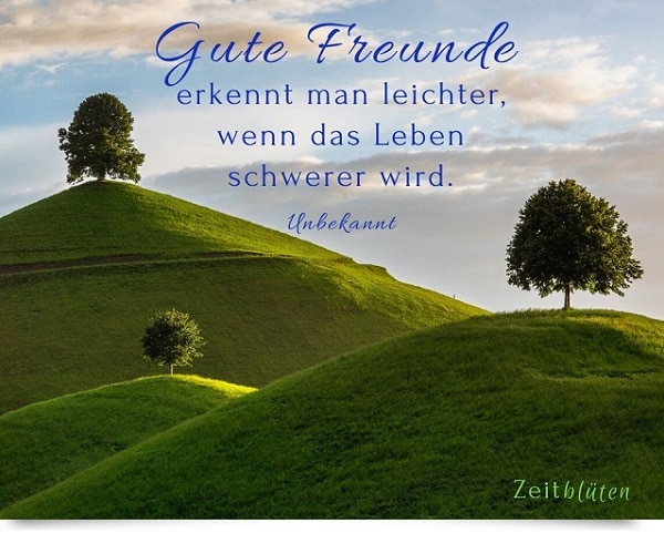 Zitate beste freundschaft Freundschaft Zitate