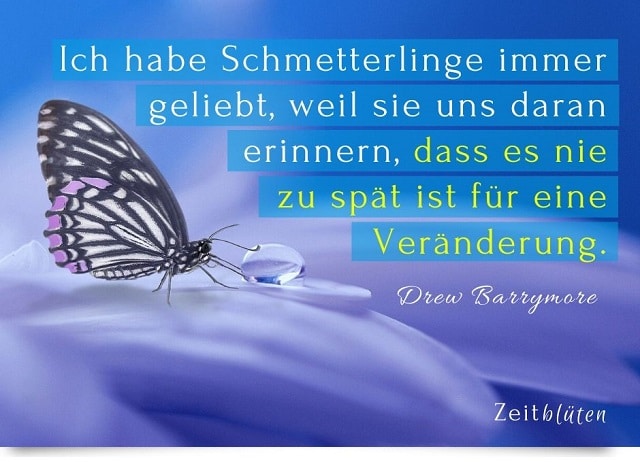 50 Zitate Spruche Die 21 Mut Machen Zeitbluten